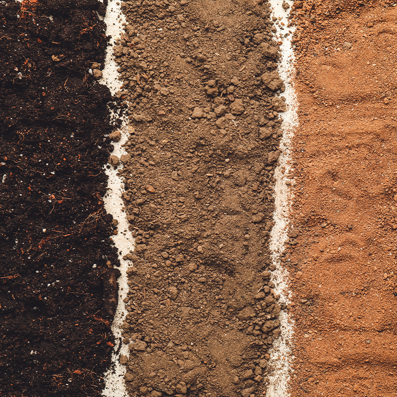 Choosing Soil