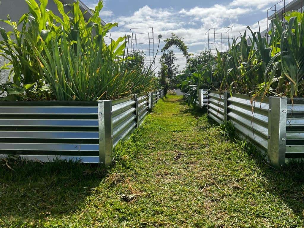 Benefits of raised garden beds