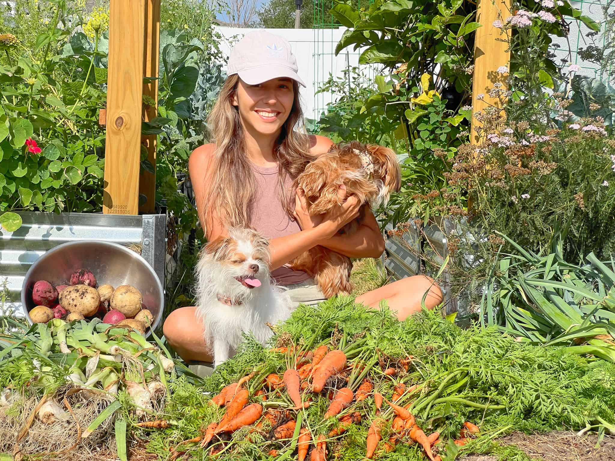 Growing Vegetables in Florida During Fall: A Guide