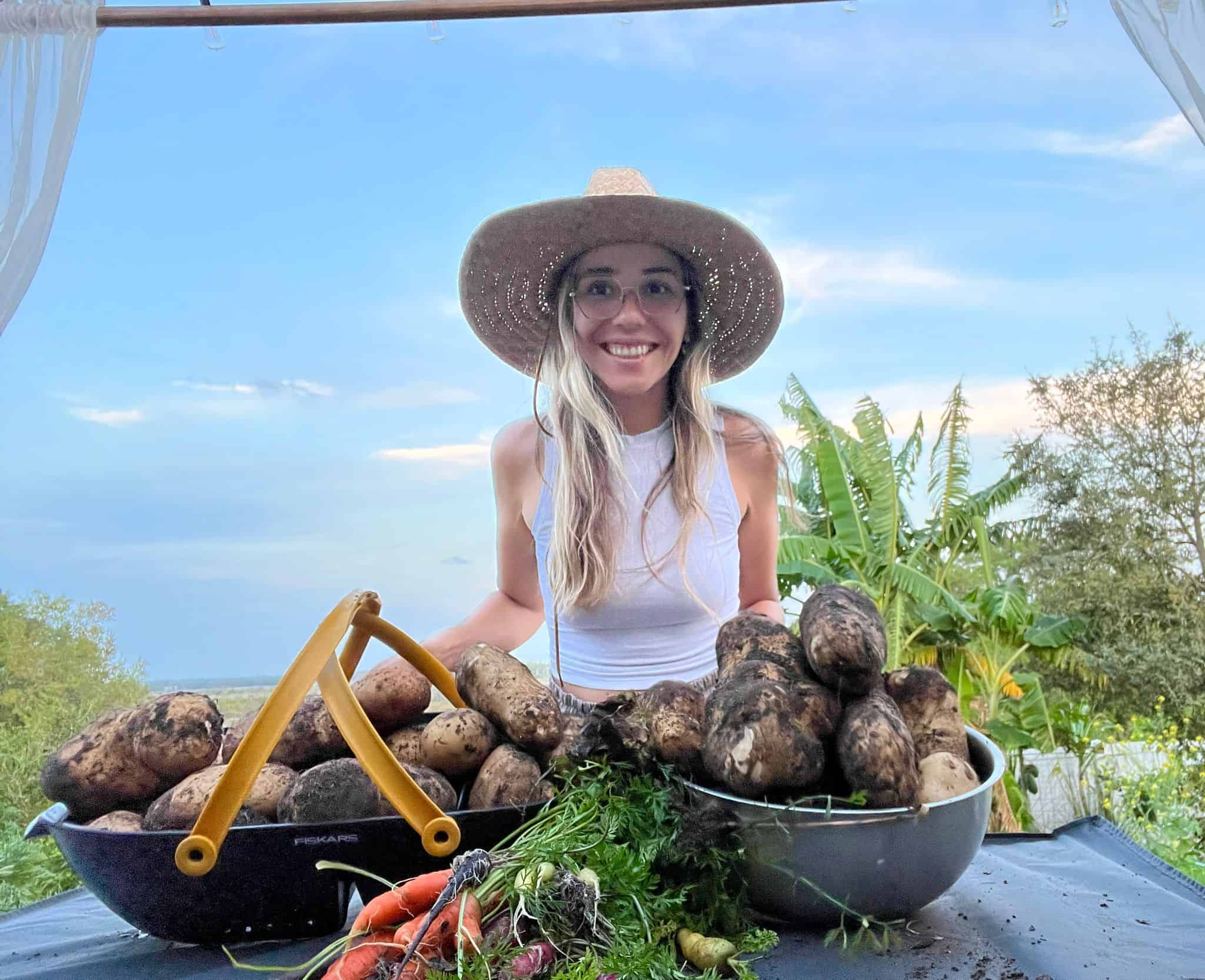 Growing potatoes in Florida