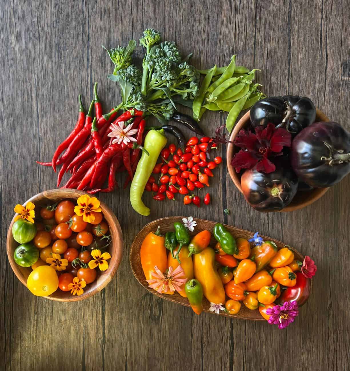 Vegetable gardening for beginners