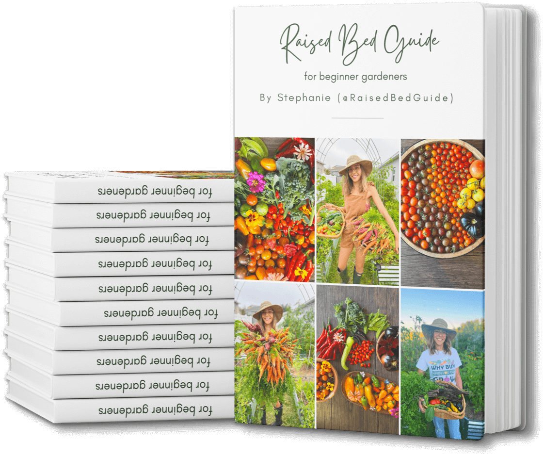 Raised Bed Guide Ebook